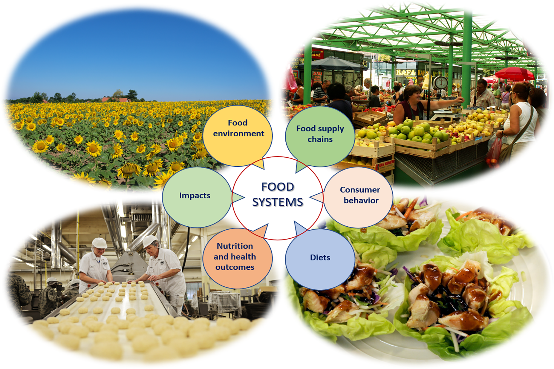 Food systems data for improving diets and nutrition.