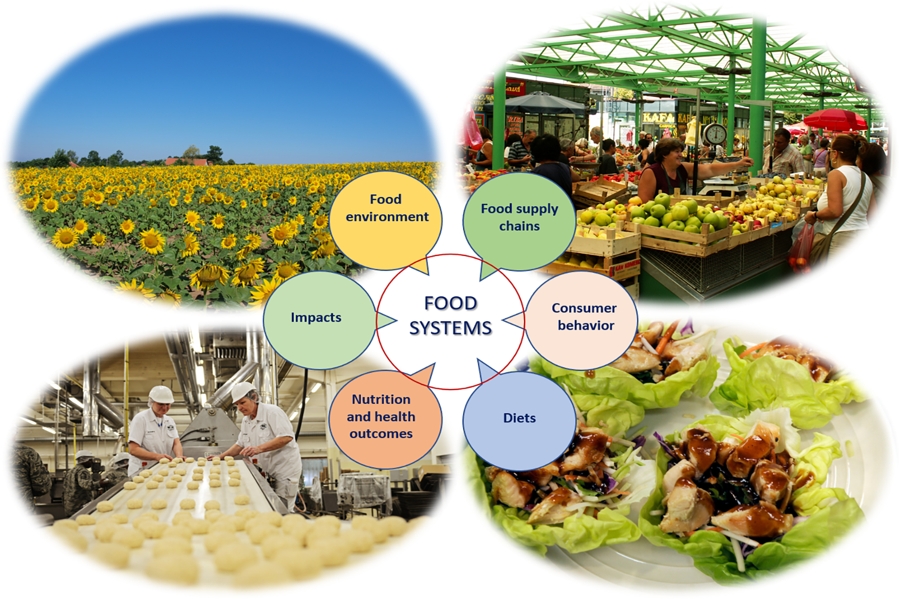 <h3>FOOD SYSTEMS DASHBOARD DESCRIBE.DIAGNOSE.DECIDE.</h3>