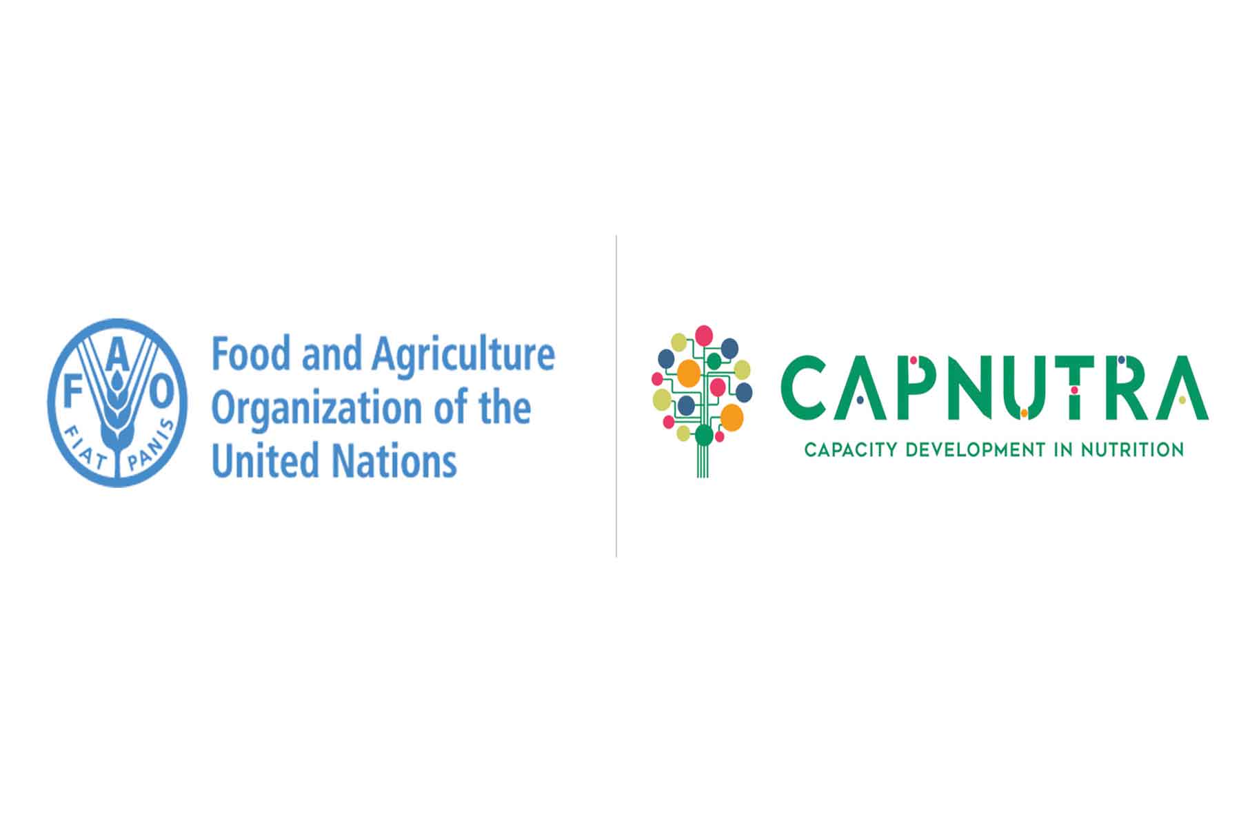 FAO Regional Technical Cooperation Programme (TCP)
Enhancing analytical evidence on diet and nutrition challenges from food systems perspectives in response to COVID-19 (TCP/RER/3805) (2021-2023)