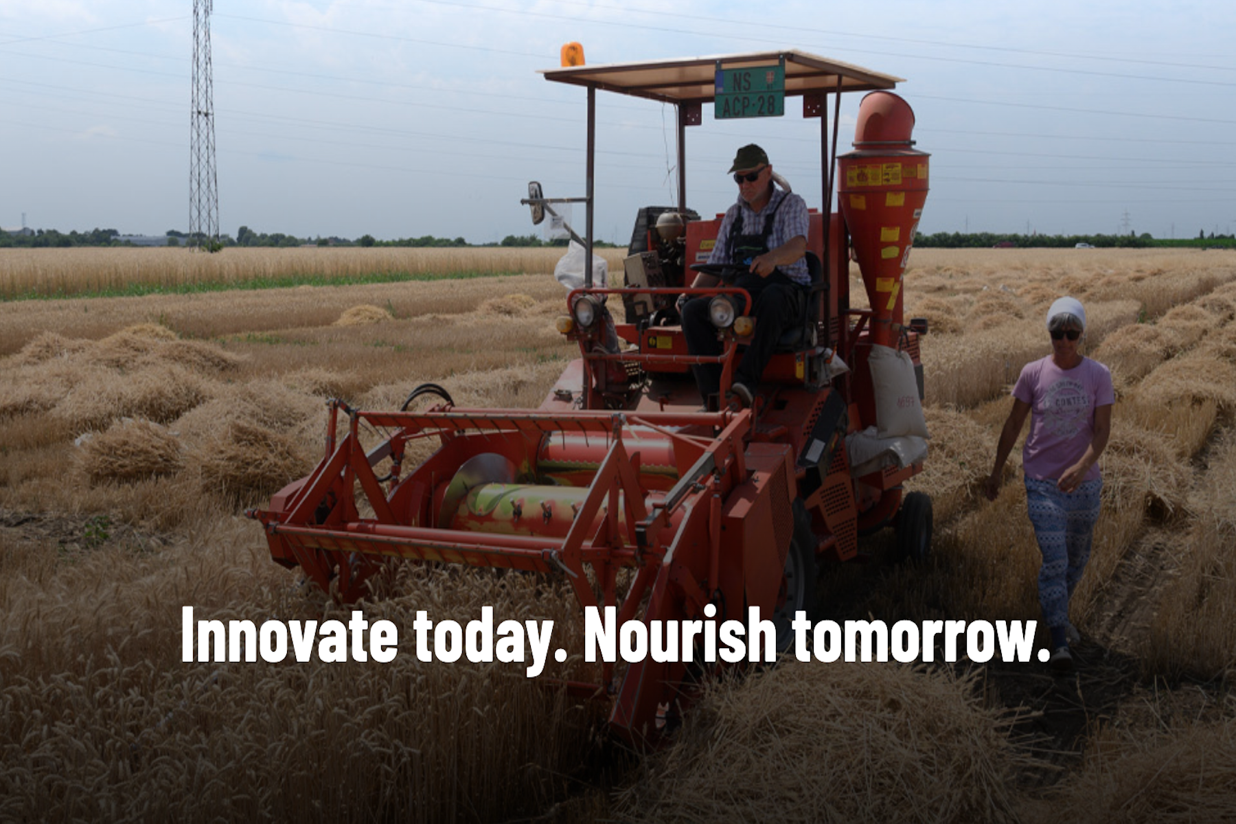 World Food Day 2026